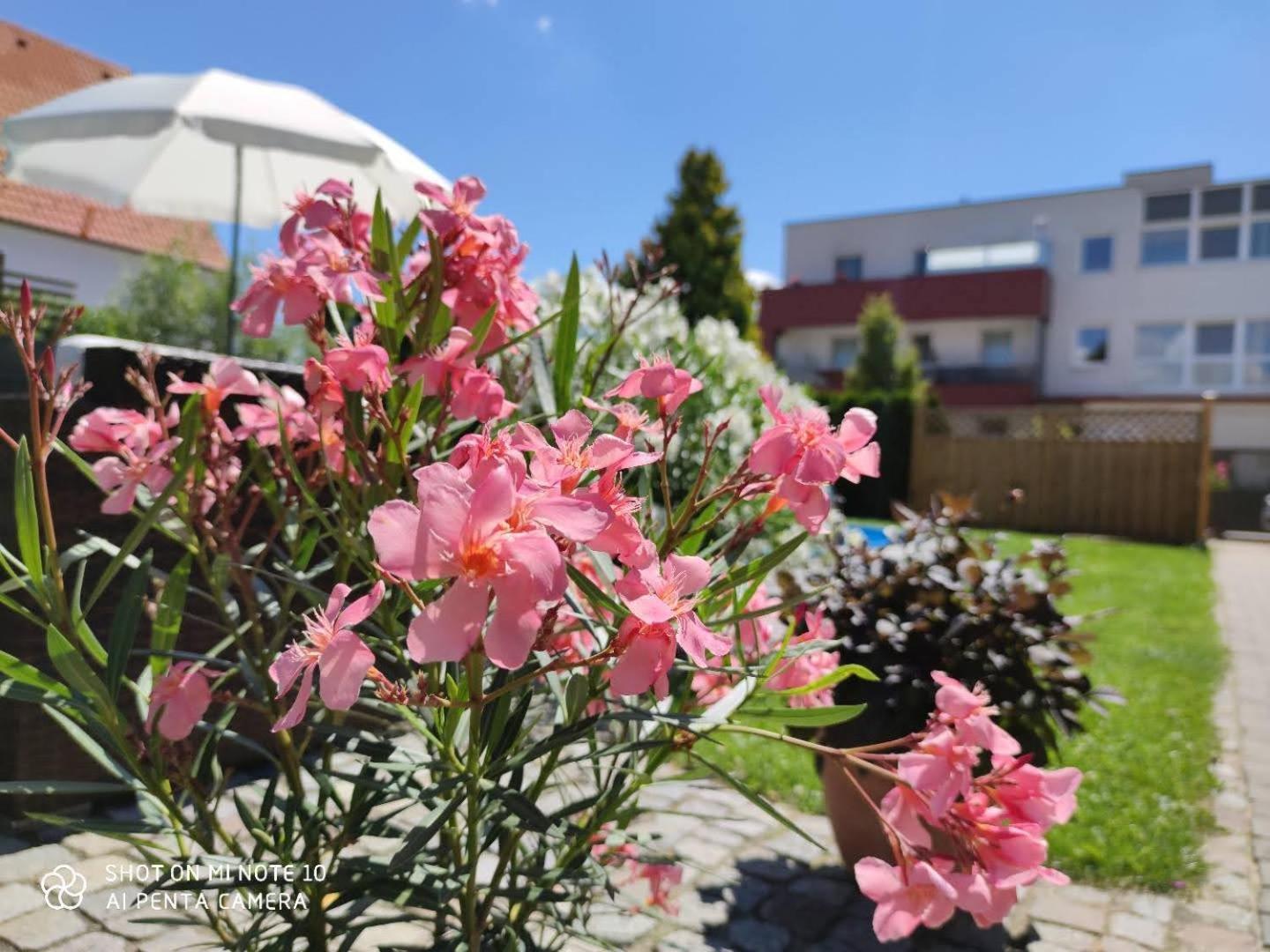 Appartement Ferienhaus Sonnenhain Sollenau Exterior foto