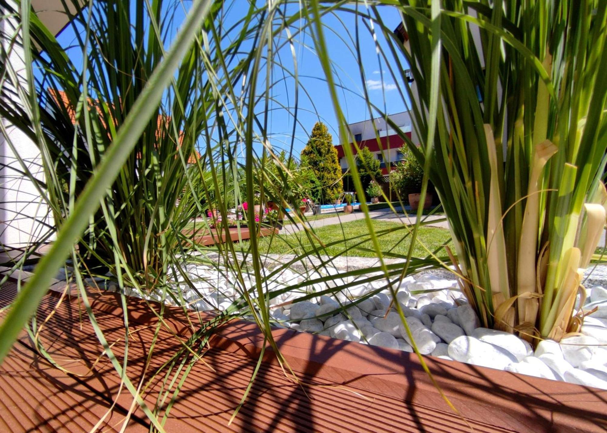 Appartement Ferienhaus Sonnenhain Sollenau Exterior foto