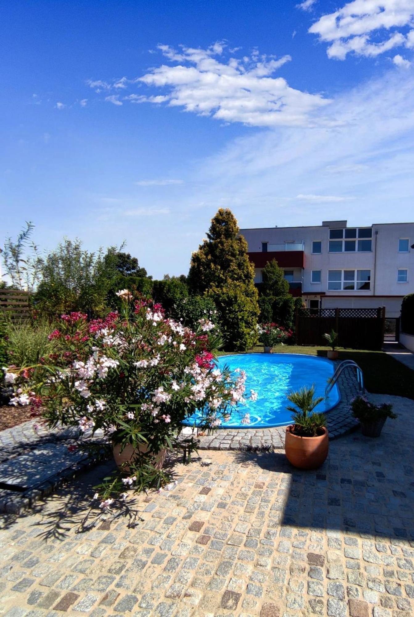 Appartement Ferienhaus Sonnenhain Sollenau Exterior foto